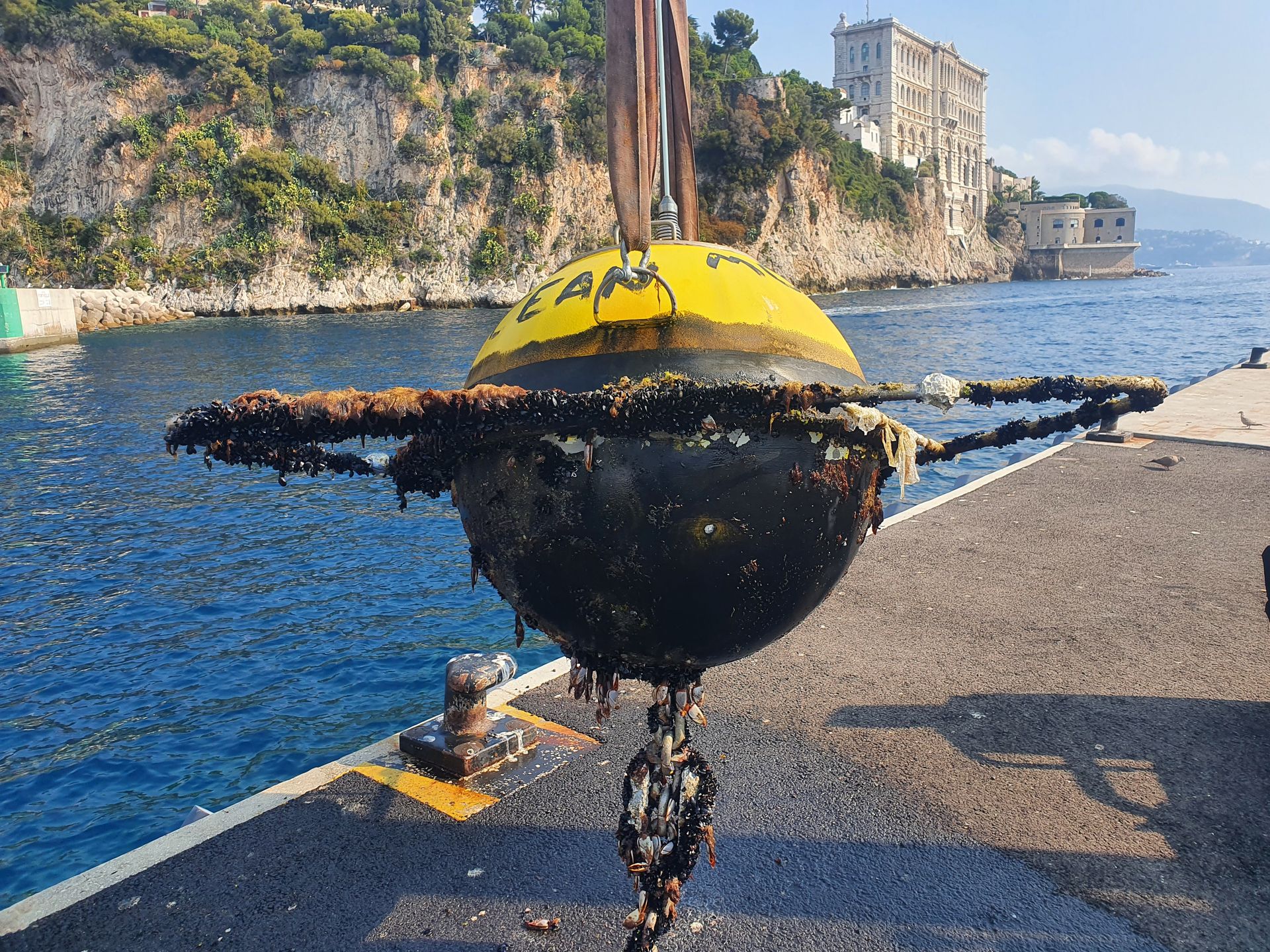 We generally use our own equipment for our surveys. DynamOcean's metocean buoy